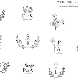 projekty-loga-firmowe-logo-3d-zielona-gora-darmowe-logo-projekt-graficzny-photoshop-illustrator-szkolenie-kursy-szkoleniowe-1