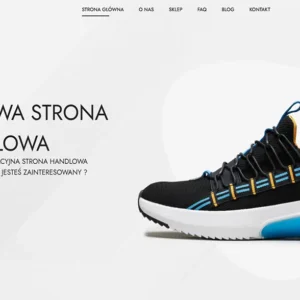 projektowanie-stron-internetowych-sklepy-internetowe-tanie-strony-www-zielona-gora-lubuskie-grafika-stron-internetowych-darmowe-strony-internetowe-zielona-gora-1-10