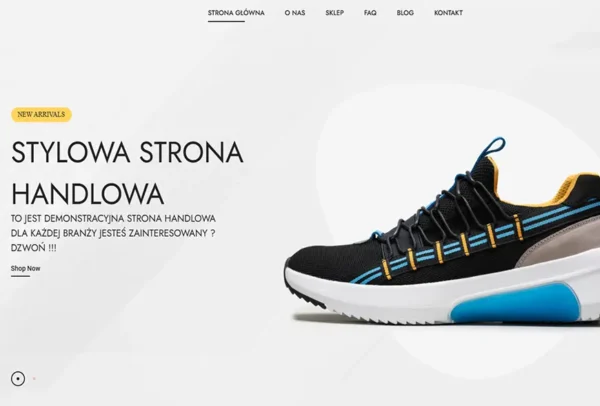 projektowanie-stron-internetowych-sklepy-internetowe-tanie-strony-www-zielona-gora-lubuskie-grafika-stron-internetowych-darmowe-strony-internetowe-zielona-gora-1-10