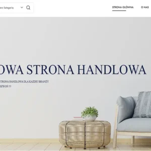 projektowanie-stron-internetowych-sklepy-internetowe-tanie-strony-www-zielona-gora-lubuskie-grafika-stron-internetowych-darmowe-strony-internetowe-zielona-gora-1-11