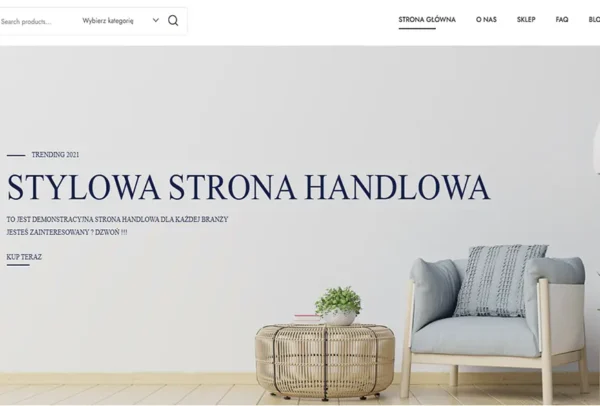projektowanie-stron-internetowych-sklepy-internetowe-tanie-strony-www-zielona-gora-lubuskie-grafika-stron-internetowych-darmowe-strony-internetowe-zielona-gora-1-11
