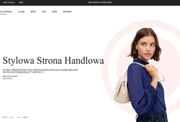 projektowanie-stron-internetowych-sklepy-internetowe-tanie-strony-www-zielona-gora-lubuskie-grafika-stron-internetowych-darmowe-strony-internetowe-zielona-gora-1-15