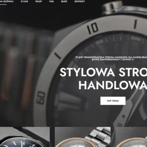 projektowanie-stron-internetowych-sklepy-internetowe-tanie-strony-www-zielona-gora-lubuskie-grafika-stron-internetowych-darmowe-strony-internetowe-zielona-gora-1-3