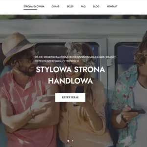 projektowanie-stron-internetowych-sklepy-internetowe-tanie-strony-www-zielona-gora-lubuskie-grafika-stron-internetowych-darmowe-strony-internetowe-zielona-gora-1-7
