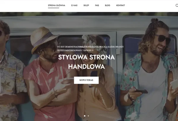 projektowanie-stron-internetowych-sklepy-internetowe-tanie-strony-www-zielona-gora-lubuskie-grafika-stron-internetowych-darmowe-strony-internetowe-zielona-gora-1-7