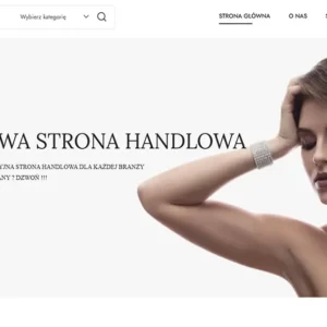 projektowanie-stron-internetowych-sklepy-internetowe-tanie-strony-www-zielona-gora-lubuskie-grafika-stron-internetowych-darmowe-strony-internetowe-zielona-gora-2