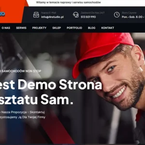 projekty-stron-internetowych-zielona-gora-projekty-graficzne-kursy-tanie-darmowe-strony-3