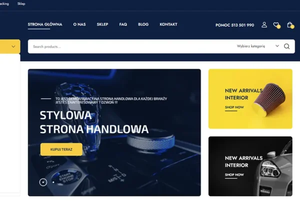 rojektowanie-stron-internetowych-sklepy-internetowe-tanie-strony-www-zielona-gora-lubuskie-grafika-stron-internetowych-darmowe-strony-internetowe-zielona-gora-4