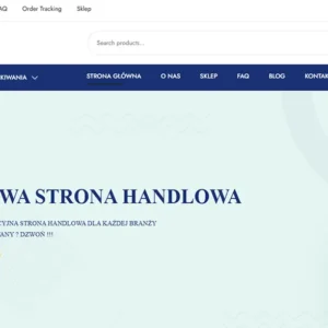 strony-internetowe-zielona-gora-1-6